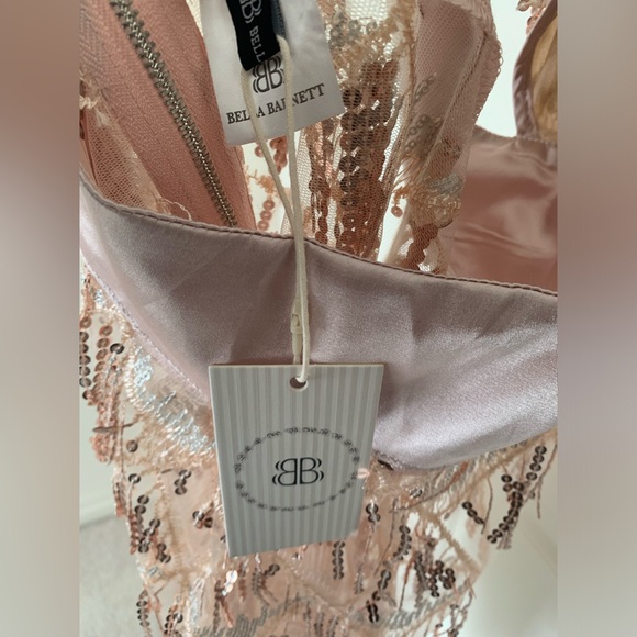COPY - BNWT Bella Barnett Louisa Mini Dress Champagne Sz S - Picture 6 of 6